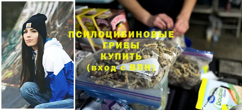 Псилоцибиновые грибы Psilocybine cubensis  цена   Краснокамск 